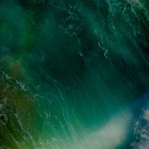 Meet your Posher, Dave